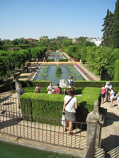 20090725_089