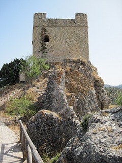 20090729_141