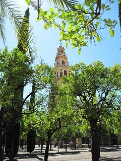 20090724_019