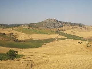 20090729_011
