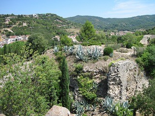 20090810_042
