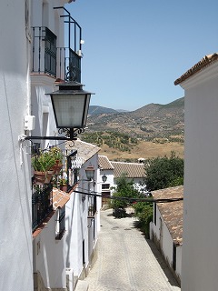 20090730_037