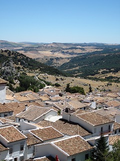 20090731_059