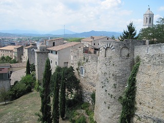 20090810_053