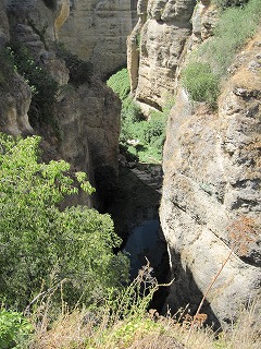 20090801_130
