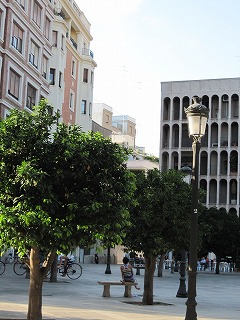 20090806_045