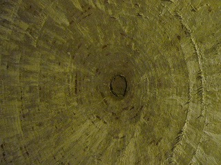 20090801_098