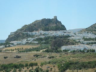 20090729_080