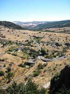 20090731_004