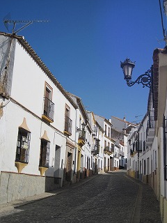 20090729_020