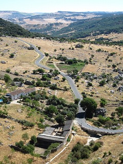 20090731_005