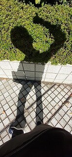 s-20211029_124135