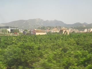 20090806_022