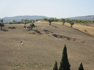20090729_025