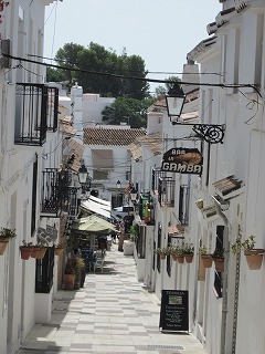 20090727_020