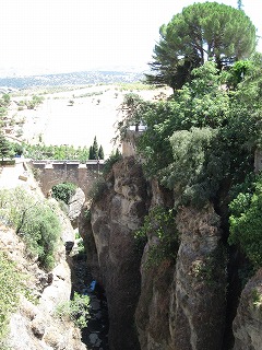 20090801_031