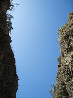 20090801_113