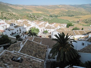20090730_013