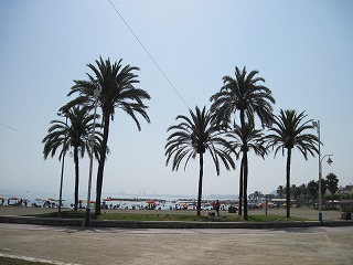 20090728_013