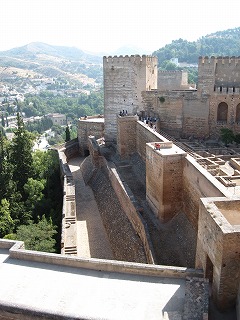 20090804_116