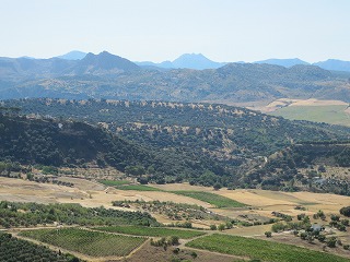 20090801_160