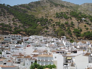 20090727_068
