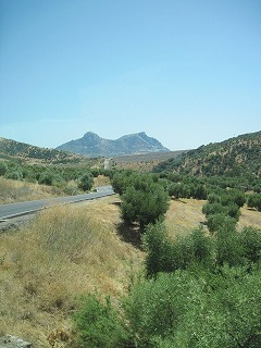 20090729_074