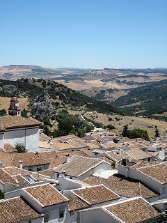 20090731_060