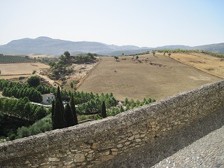 20090729_035