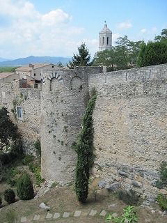 20090810_052