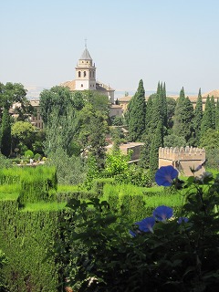 20090804_165