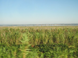 20090813_006