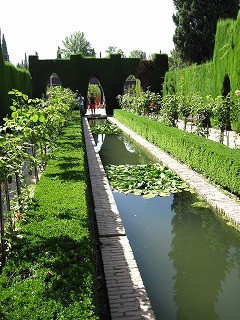 20090804_131