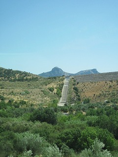 20090729_076