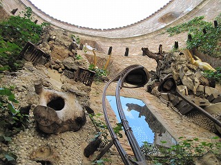 20090811_092