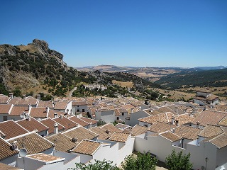 20090731_044