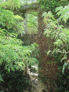 20090810_040