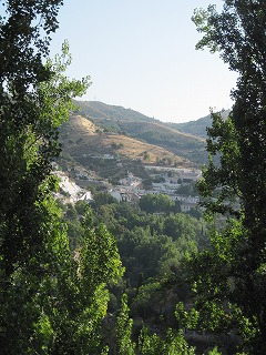 20090804_072