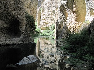 20090801_108
