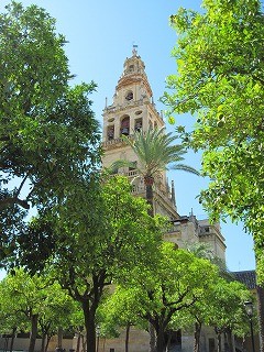 20090724_020