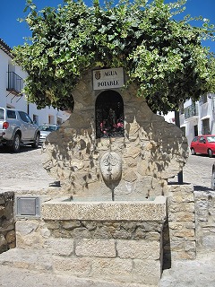 20090731_040