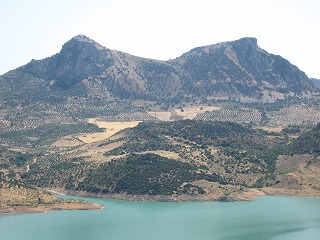 20090730_019