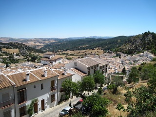 20090731_063