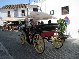 20090727_025