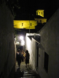 20090804_212