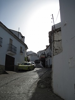 20090729_177