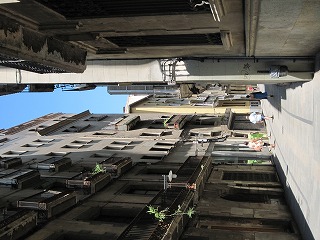 20090810_077