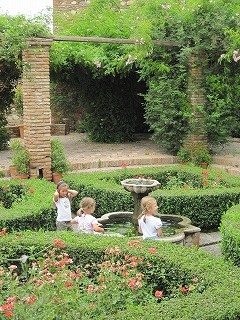 20090726_065
