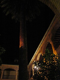 20090724_097