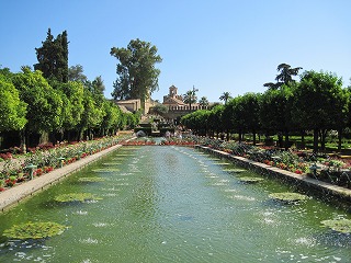 20090725_101
